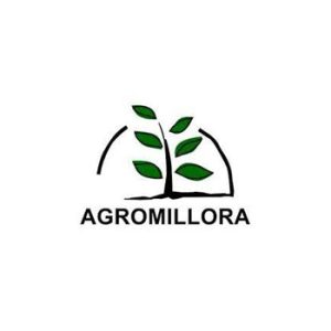 Agromillora